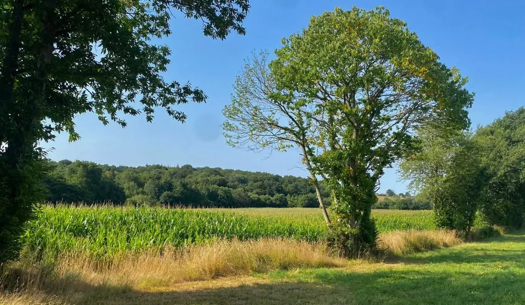 Projet agricole bas carbone, SAGE