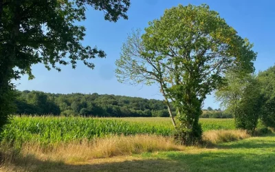 Projet agricole bas carbone, SAGE