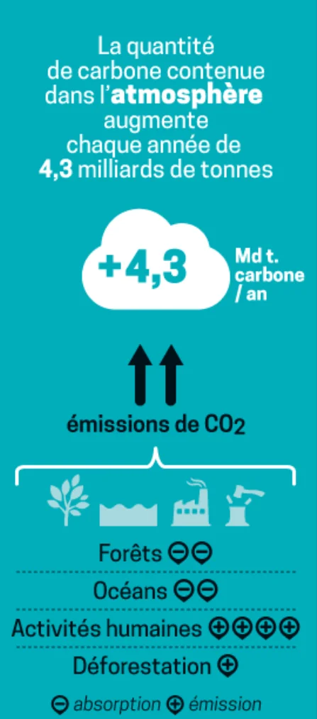 Quel est l’intérêt de la séquestration carbone ?