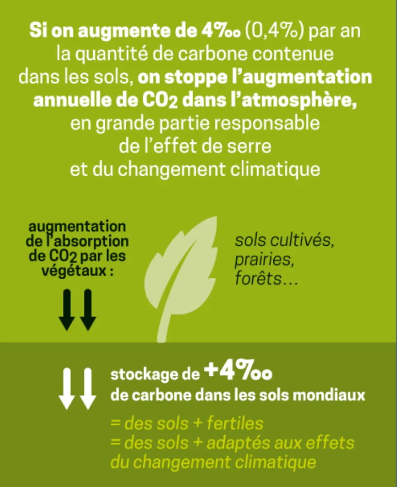 Comment se positionne la France en termes de séquestration carbone ?