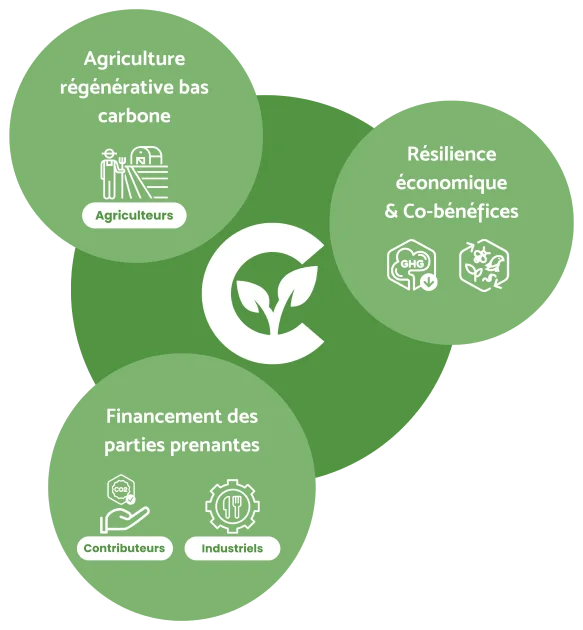Notre vision : s'appuyer sur le cercle vertueux de l'agriculture bas carbone 