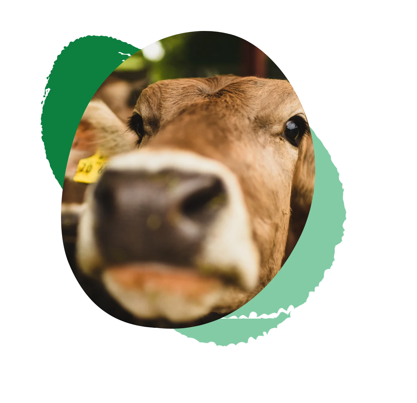 Blog de Carbone Farmers