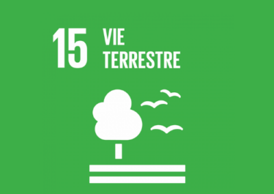 Le projet va permettre de préserver la biodiversité terrestre en réduisant l’usage de produits phytosanitaires et favoriser la biodiversité des sols en réduisant le labour.