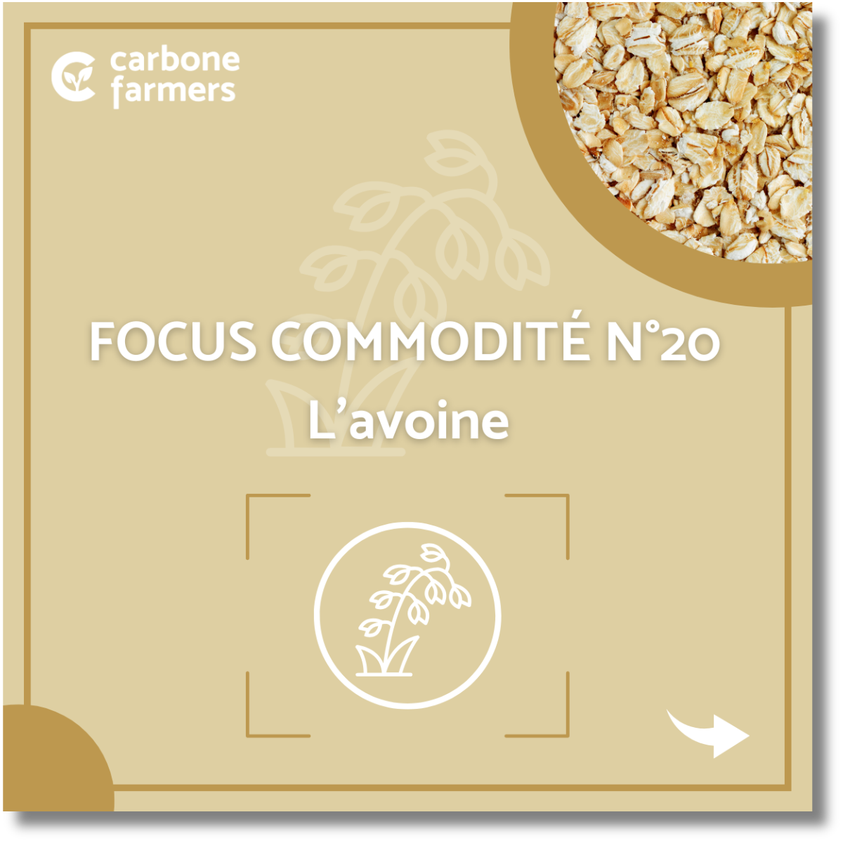 Focus commodité avoine (1) Page focus commodité orge