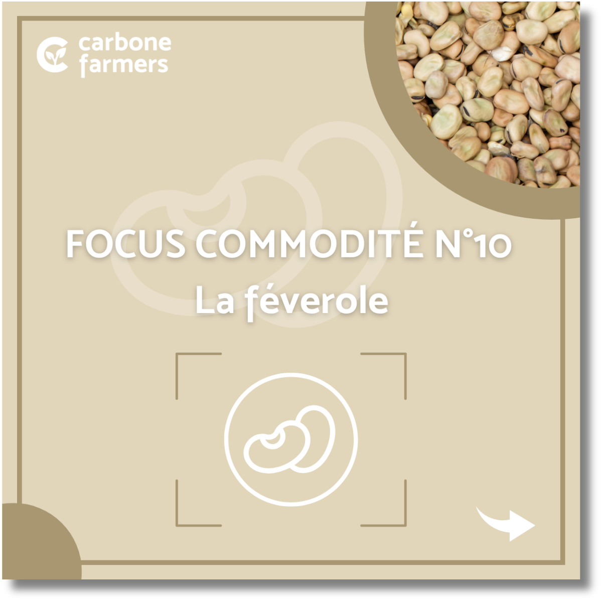 Focus commodité féveroles Page focus commodité orge