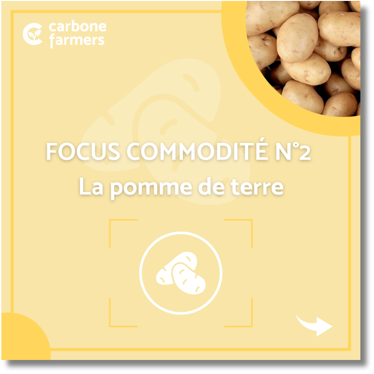 Focus commodité pomme de terre