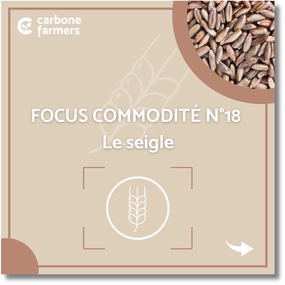 Focus commodité seigle Page focus commodité orge
