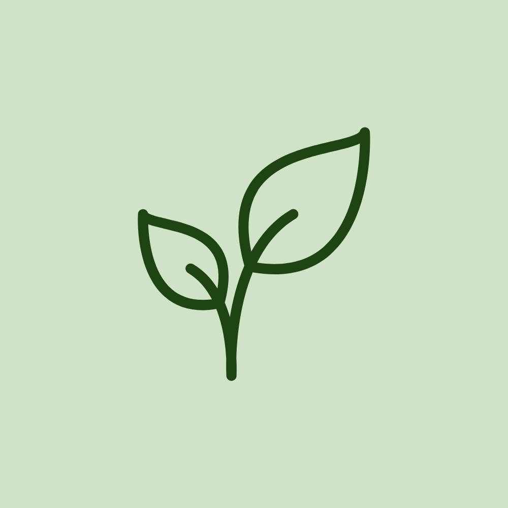 Icône de feuille symbolisant la nature et l’écologie