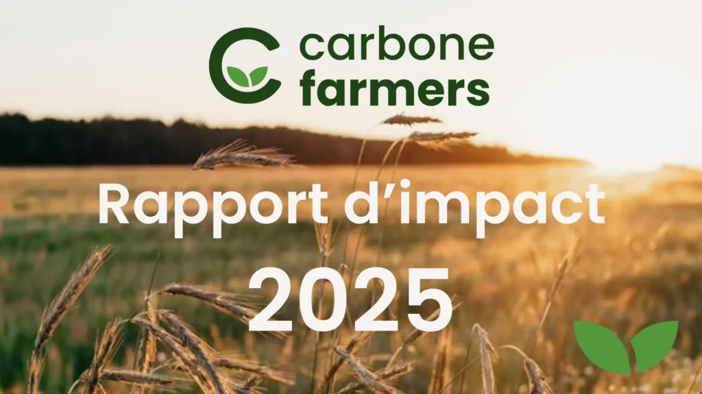 Rapport d'impact de Carbone Farmers, image avec du blé en transition agroécologique
