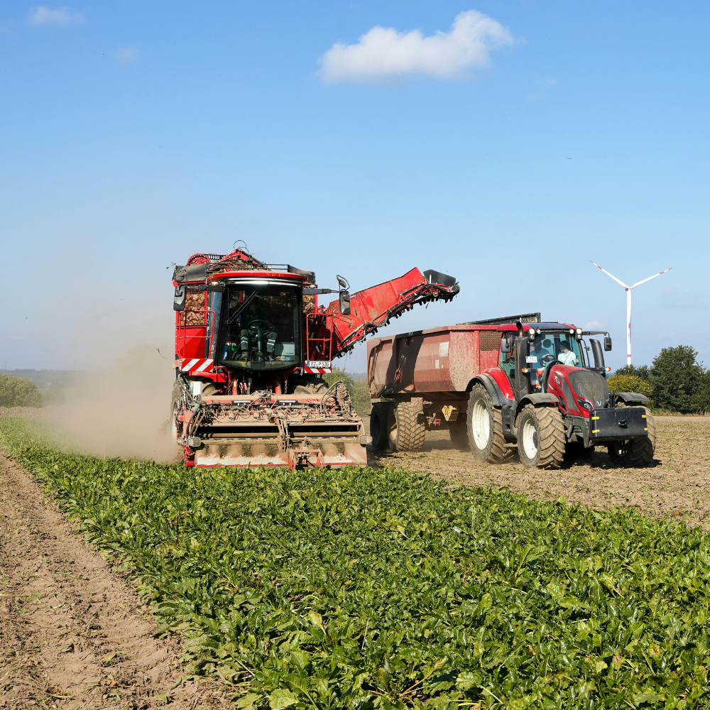 Moissonneuse en action récoltant des céréales dans un champ agricole