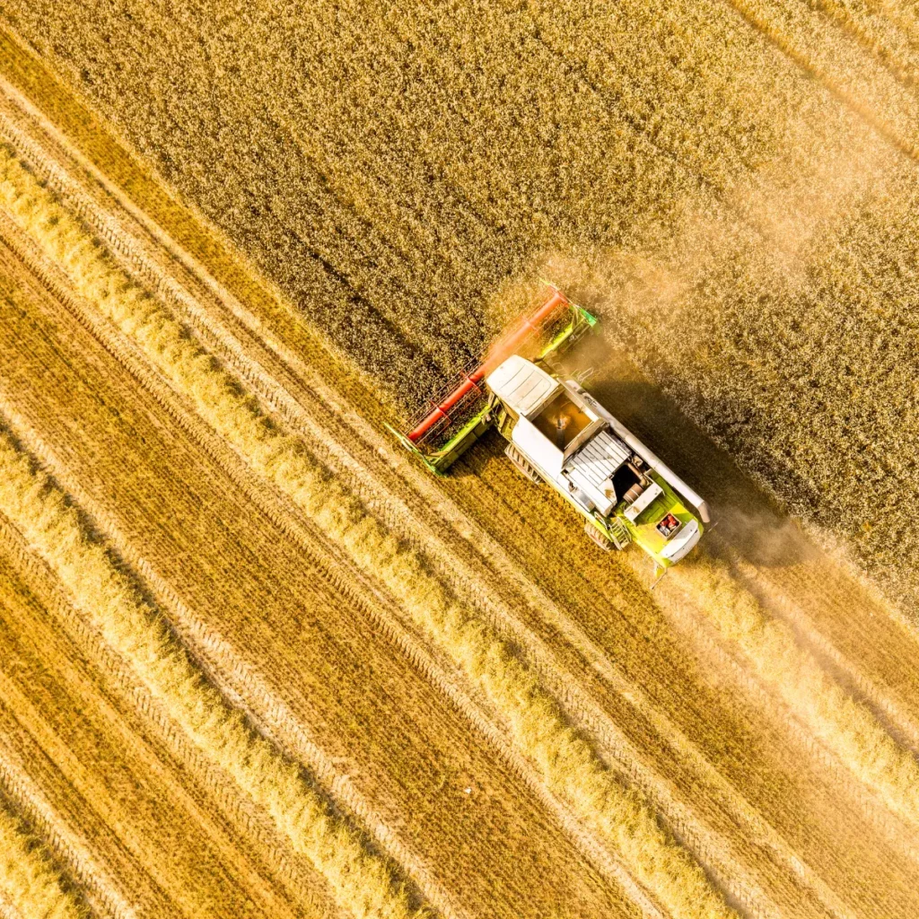 Moissonneuse en action lors de la récolte des cultures