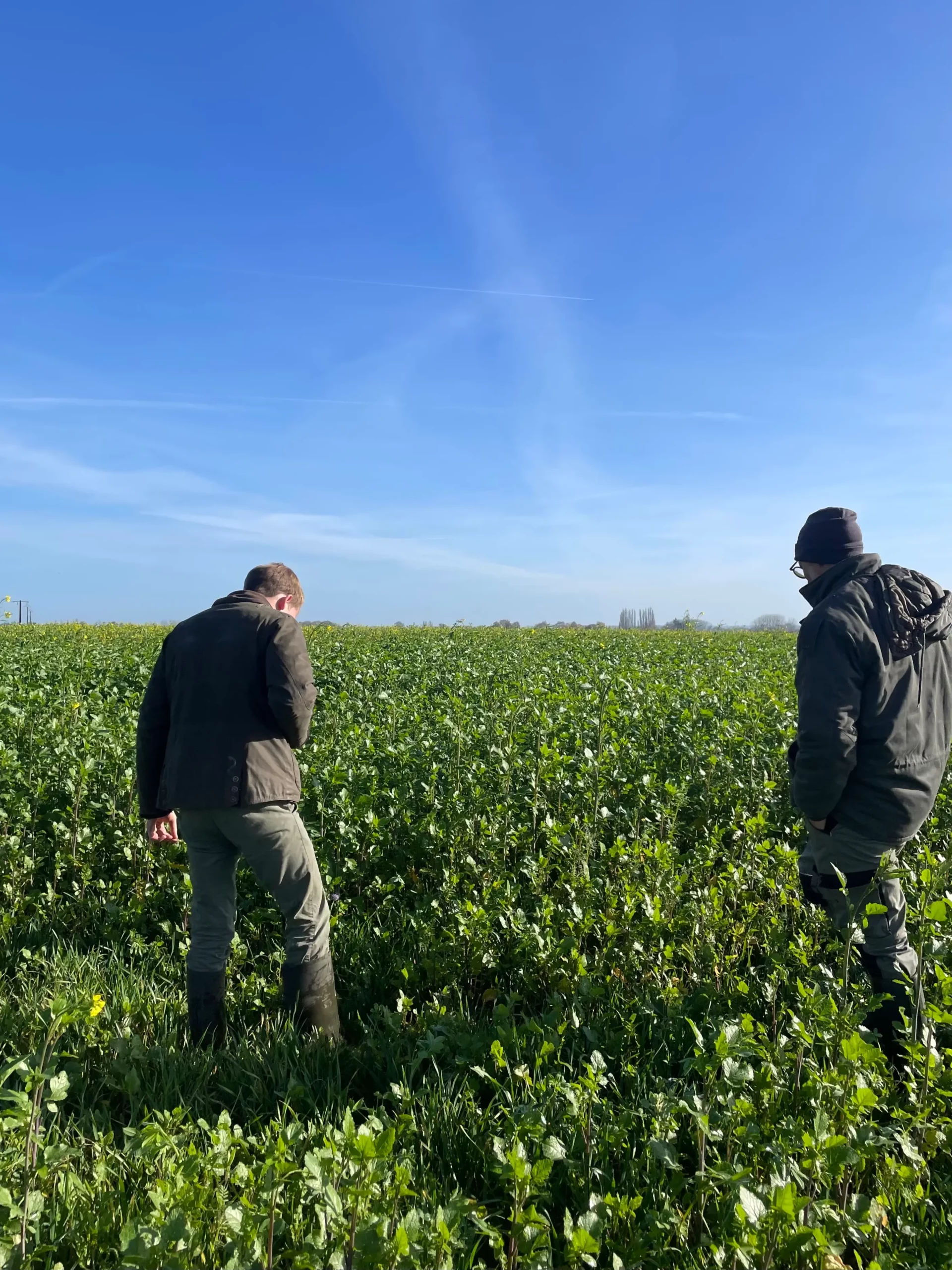 Un conseiller Carbone Farmers avec un agriculteur dans ses champs