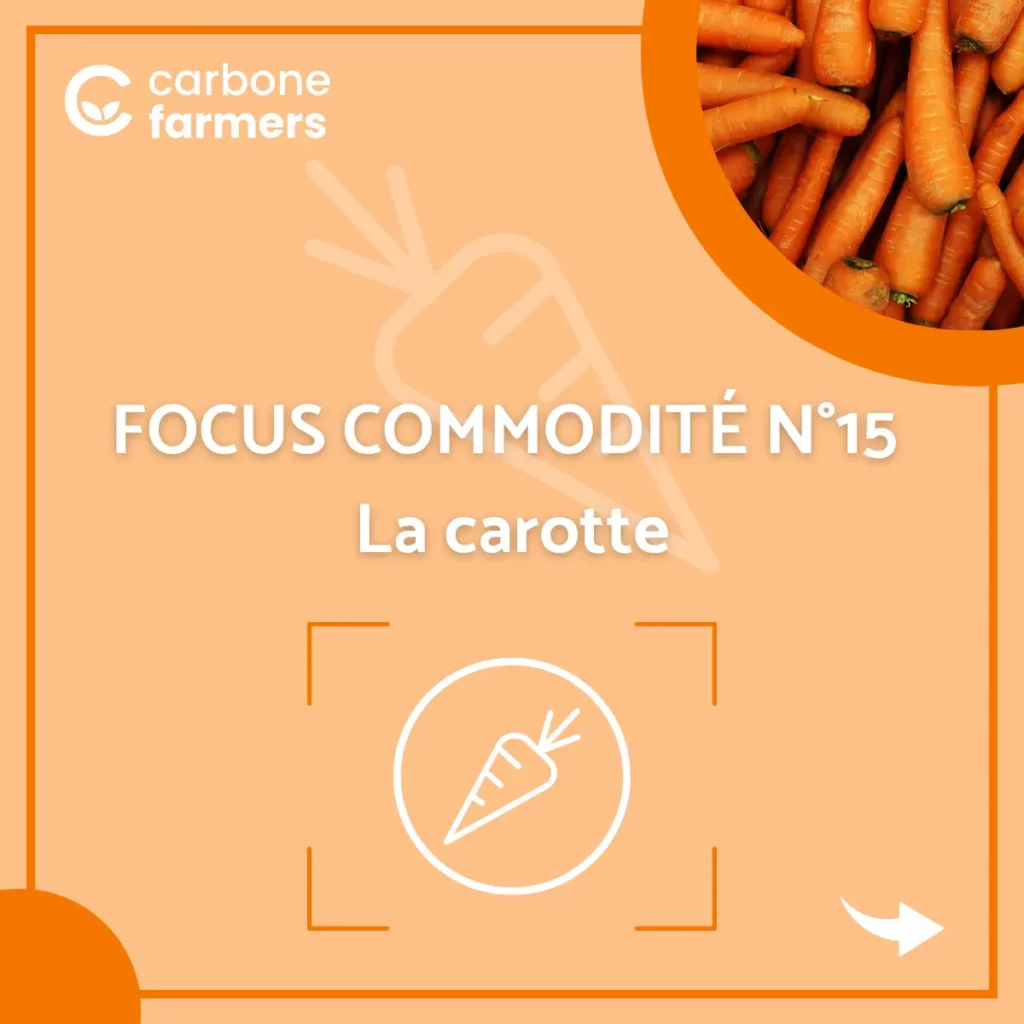 Page commodité carotte