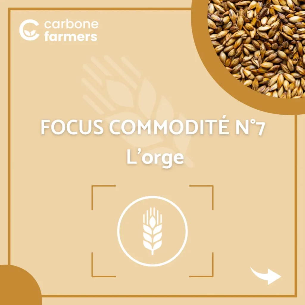 Page focus commodité orge
