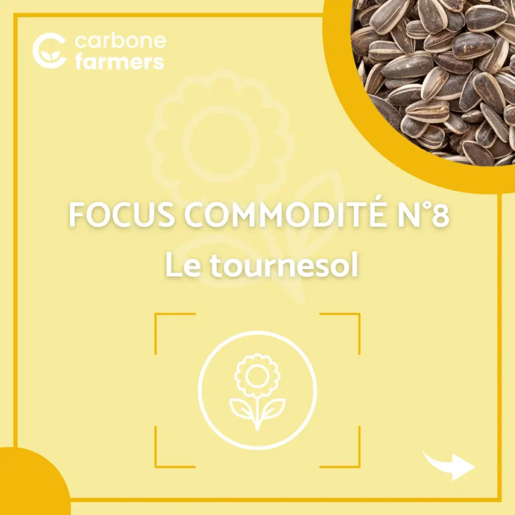 Image commodité tournesol