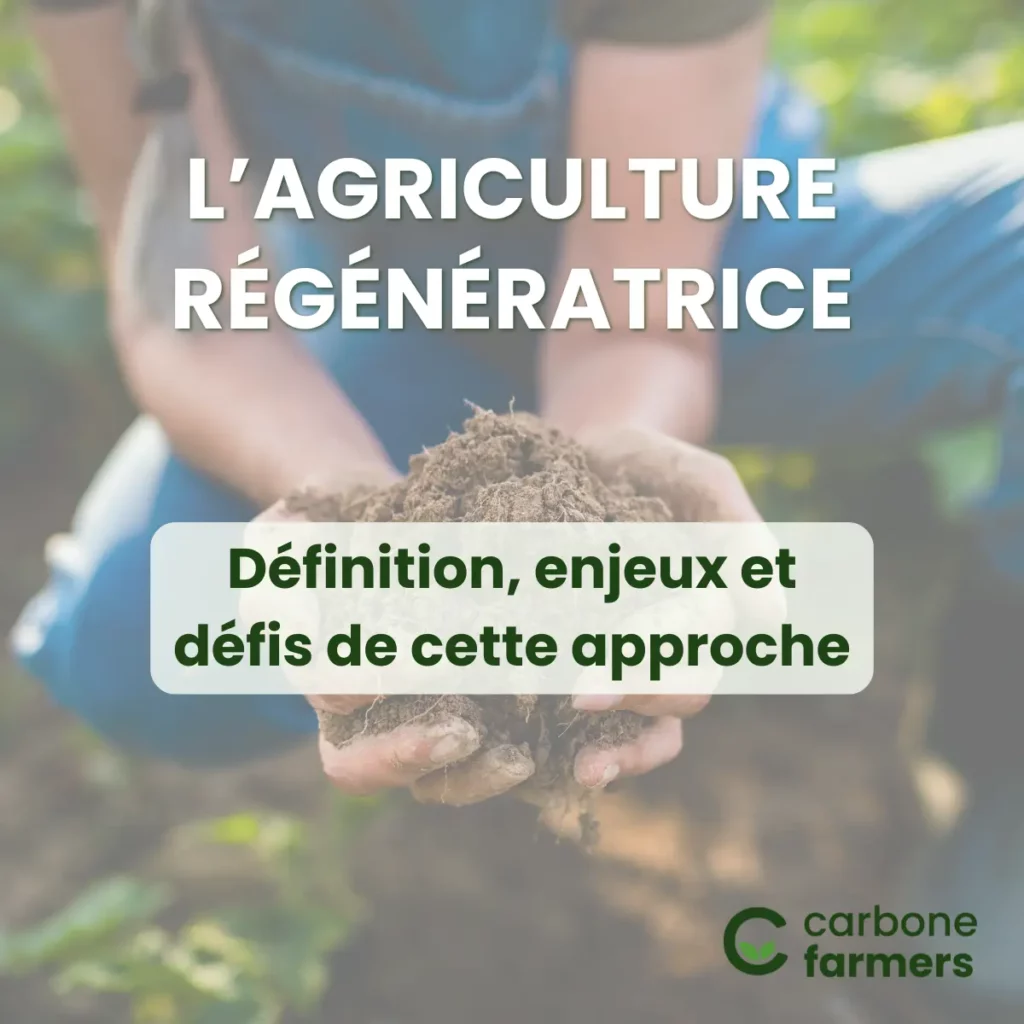 Image avec titre + main en fond qui tient une poignée de terre