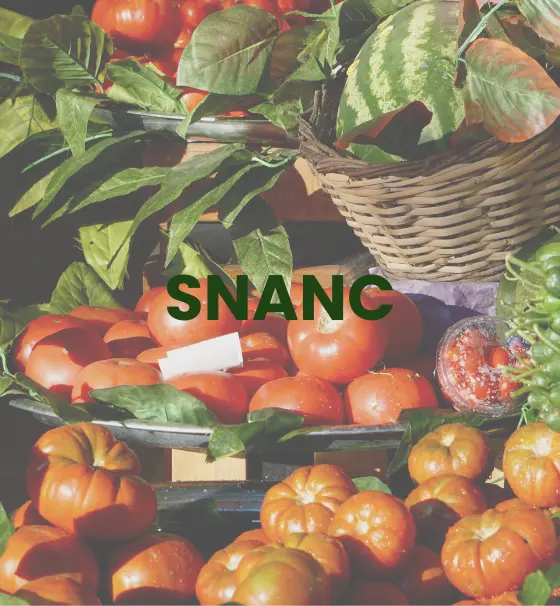 Étal de tomates, courges et pastèque, illustrant la SNANC, stratégie nationale pour l'alimentation, la nutrition et le climat